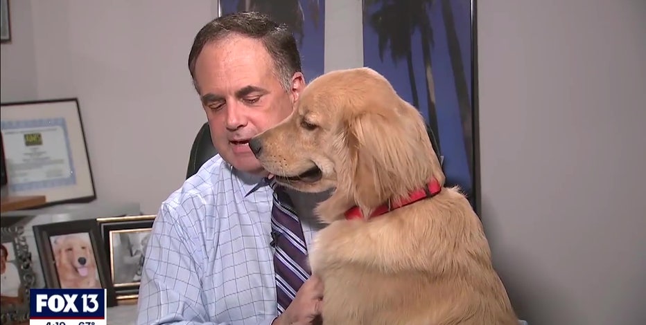 All those times Brody the dog interrupted Paul Dellegatto's weathercast