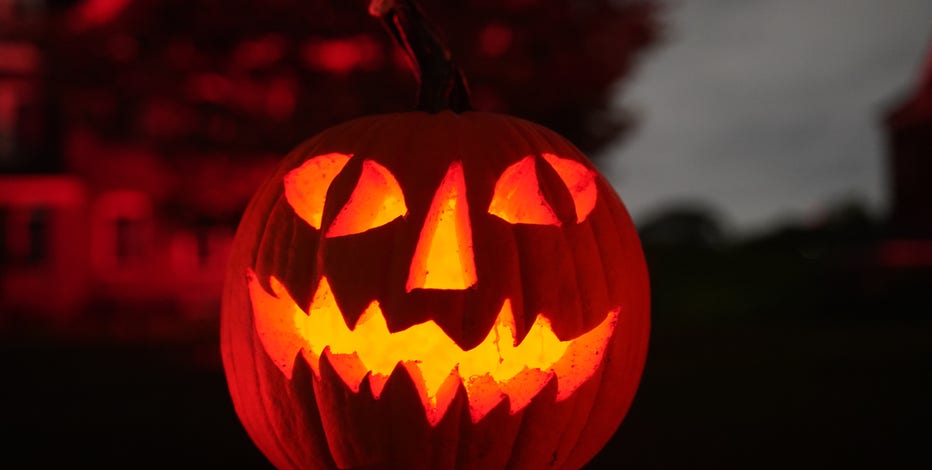 Fun, family-friendly Halloween events planned in Tampa Bay