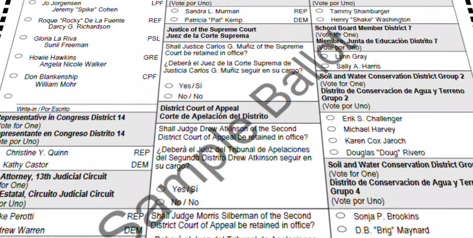 Florida constitutional amendments: What do they mean?