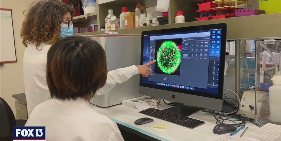 New study suggests COVID-19 immunity could last longer than previously thought