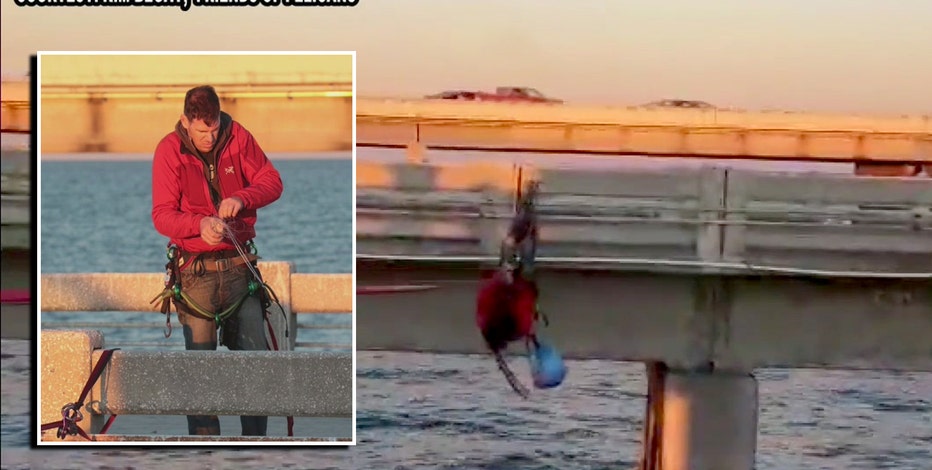 Good Samaritan performs zip-line rescue of entangled pelican on Skyway