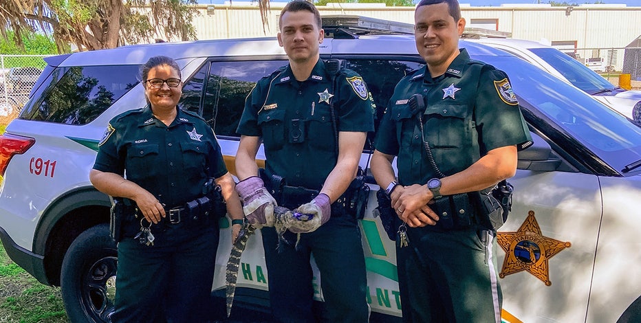 Deputies expel small alligator from Hardee elementary school