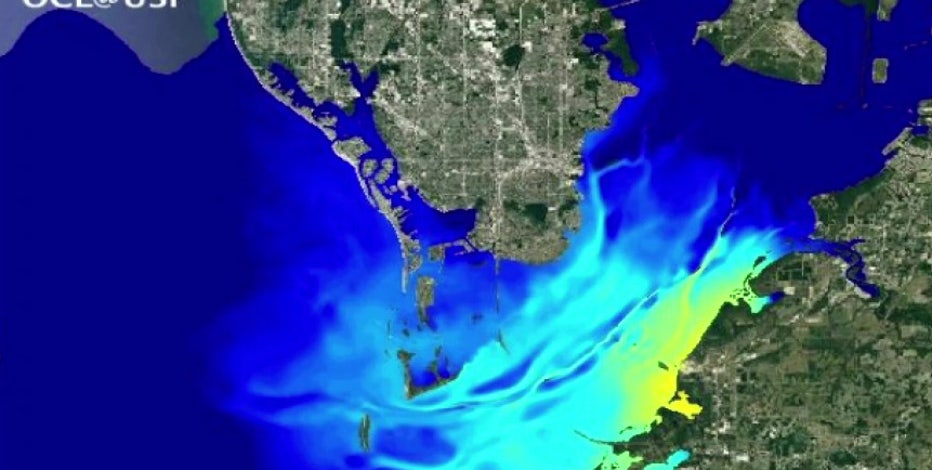 USF’s red tide research helps predict Piney Point wastewater flow