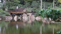 Japanese garden in Florida brings authentic experience from the Far East