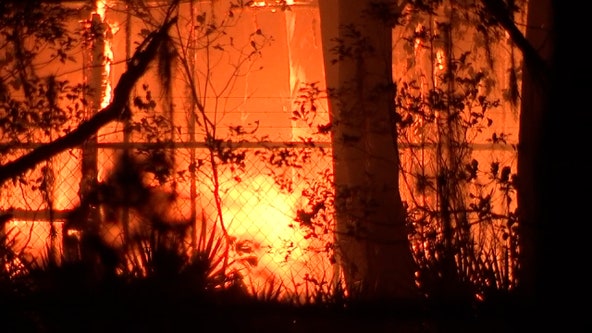 Family-owned tropical fish farm in Plant City catches fire overnight