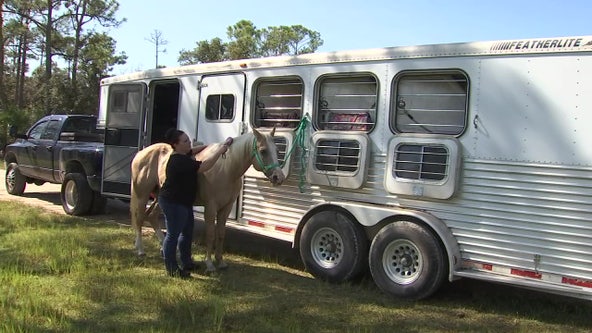Breast cancer survivor creates horseback riding event to support Making Strides