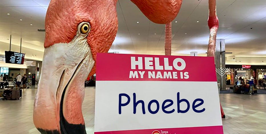 Tampa airport's giant flamingo finally has a name after month-long contest