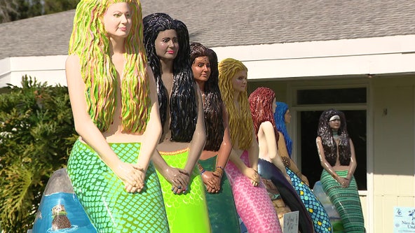 Weeki Wachee mermaids celebrate 75 years with 'Mermaid Tail Trail'