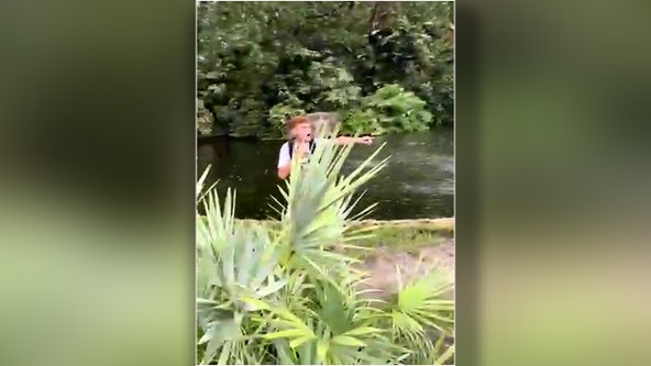 Video: Man jumps into Busch Gardens alligator enclosure