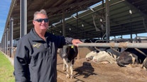 ‘This is my baby’: Dakin Dairy Farms up for sale in Myakka City, owner hopes legacy continues
