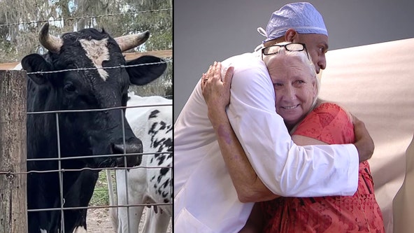 Brooksville woman gets shocking cancer diagnosis after bull attack: 'I got another chance'