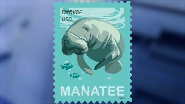 Florida manatees get the spotlight on USPS' newest postage stamp