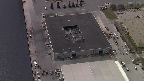 Roof collapses at Port Tampa Bay building after support beam sustains damage