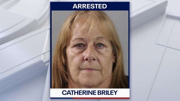 5 dead cats, 28 total animals seized from Lakeland home, woman arrested