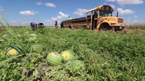 Multi-generation farm supplies watermelon to Florida
