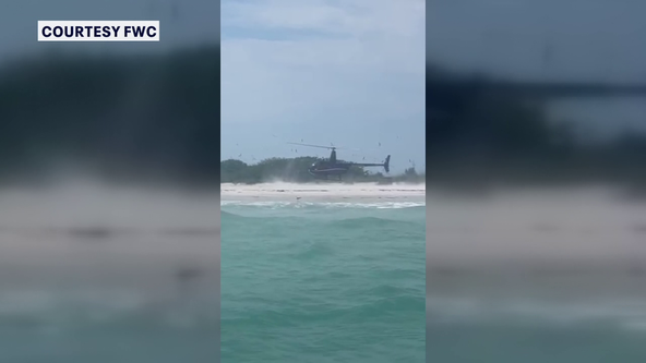 Helicopter pilot charged after landing on top of protected birds on Egmont Key: FWC