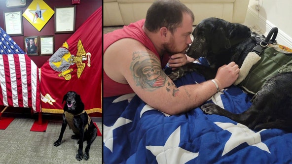 Military K-9 who belonged to late Pasco Marine veteran laid to rest in special ceremony