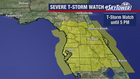 Severe thunderstorm watch in effect for most of Tampa Bay area