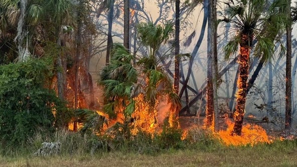 Large brush fire causes evacuations in North Port: Officials