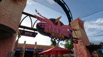 New 'Phoenix Rising' coaster opens to guests at Busch Gardens Tampa