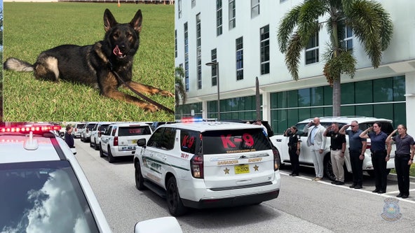 Video: Sarasota police pay tribute to retired K-9 that died unexpectedly