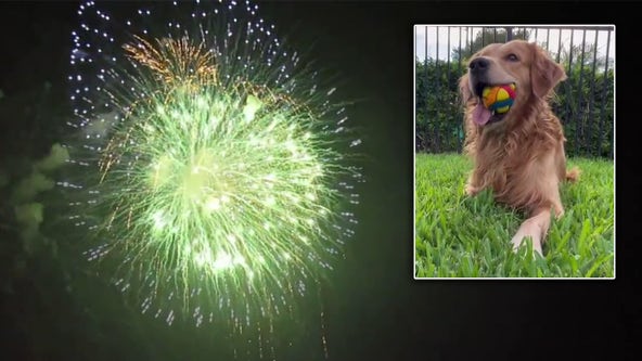 How to keep scared pets safe over the Fourth of July holiday