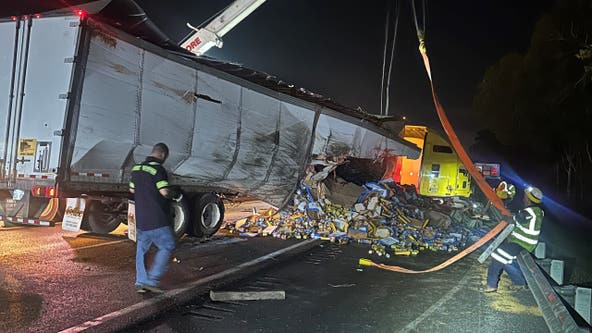 PHOTOS: Sausage and sauce spills onto roadway after semi-truck flips on Florida’s Turnpike