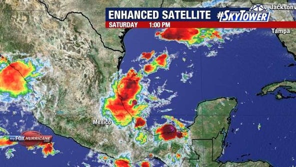 Tropical disturbance 91L could become tropical storm in Gulf of Mexico next week