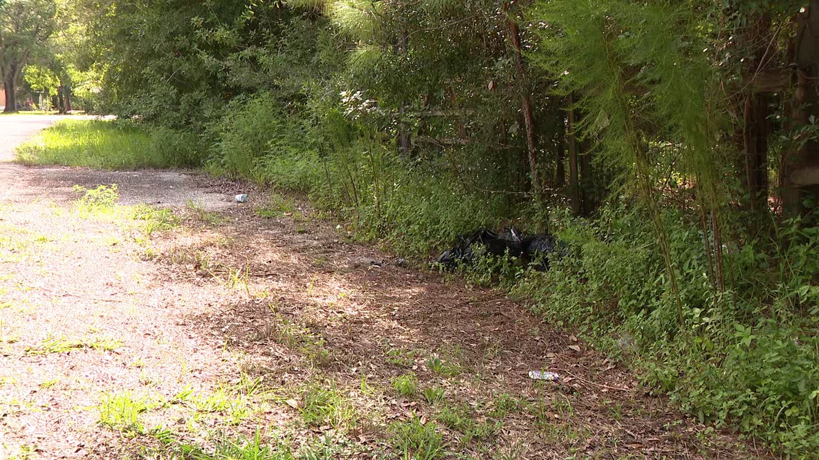 Neighbors demand answers after decomposing dog found dumped in Wesley Chapel