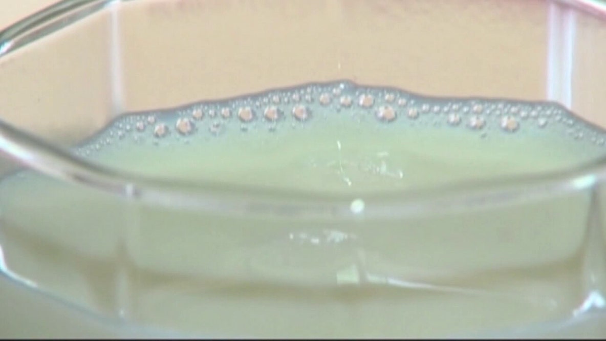 Florida health officials warn against raw milk after 21 people fall ill