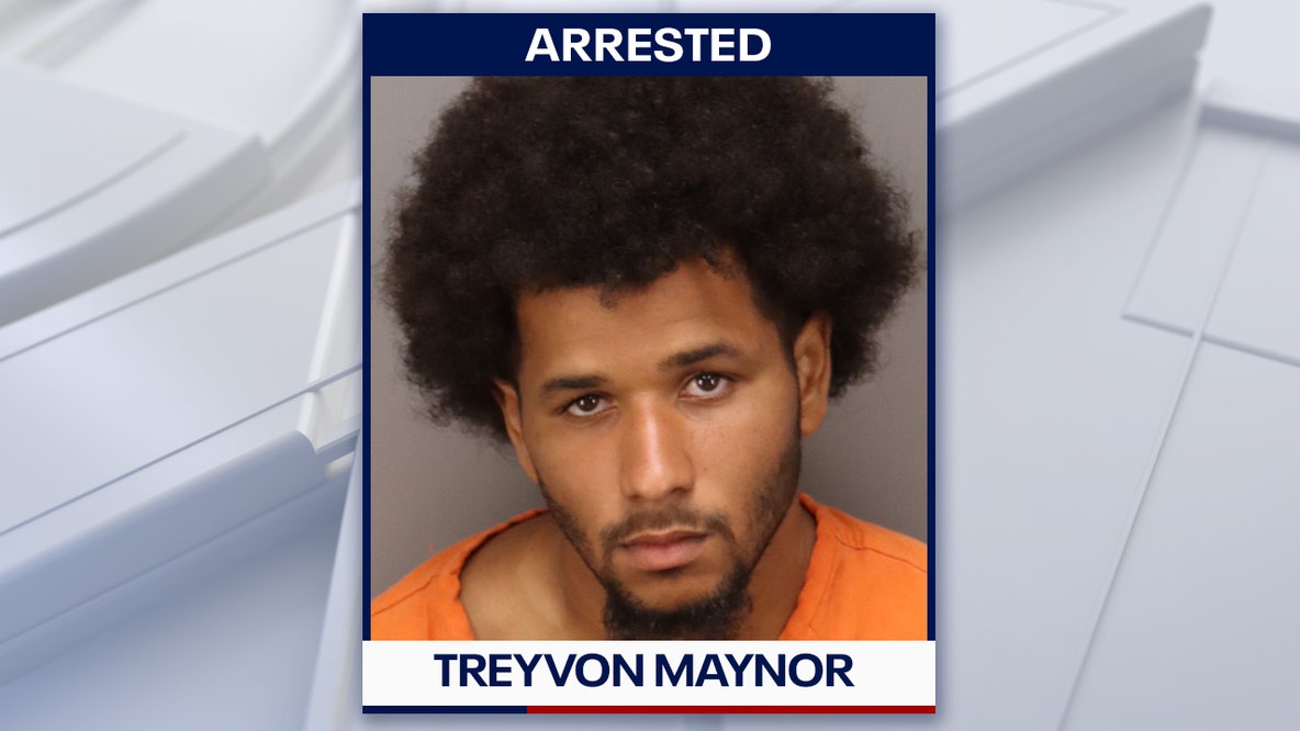 Man accused of running into St. Pete traffic with baby, assaulting domestic partner