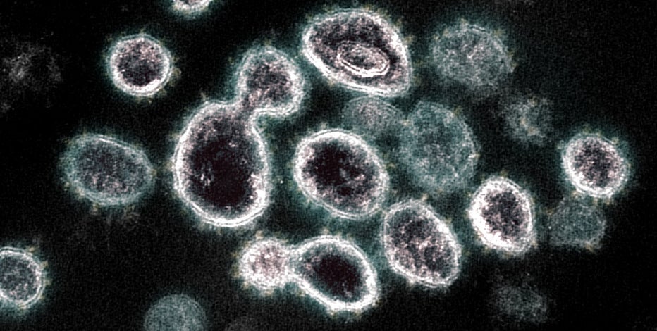 Texas' COVID-19 hospitalizations falling from record highs