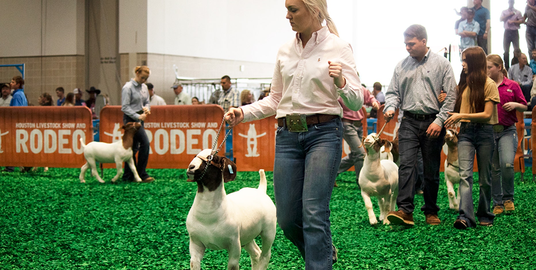 Youth to be focus of 2021 Houston Livestock Show and Rodeo