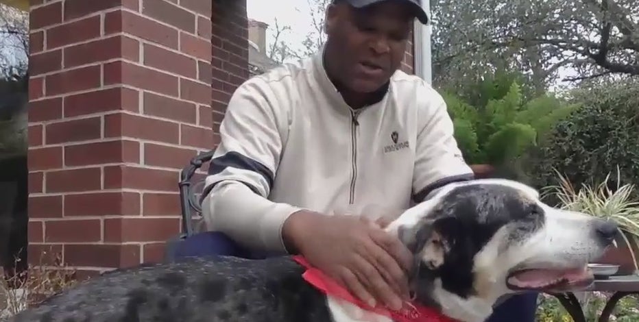 More animals in need of homes after last week's winter storms