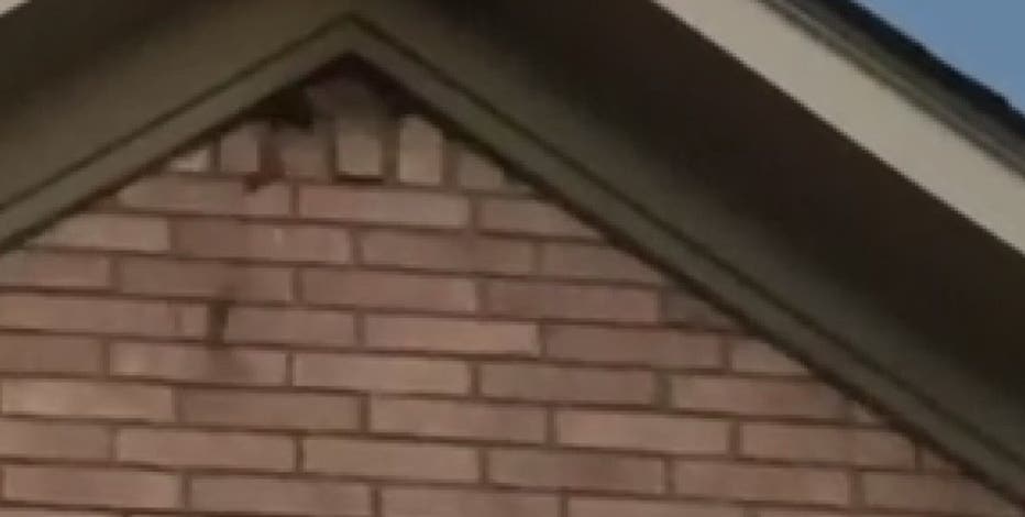 Hundreds of bats invade Houston couple's home, what you can do to keep your house bat free