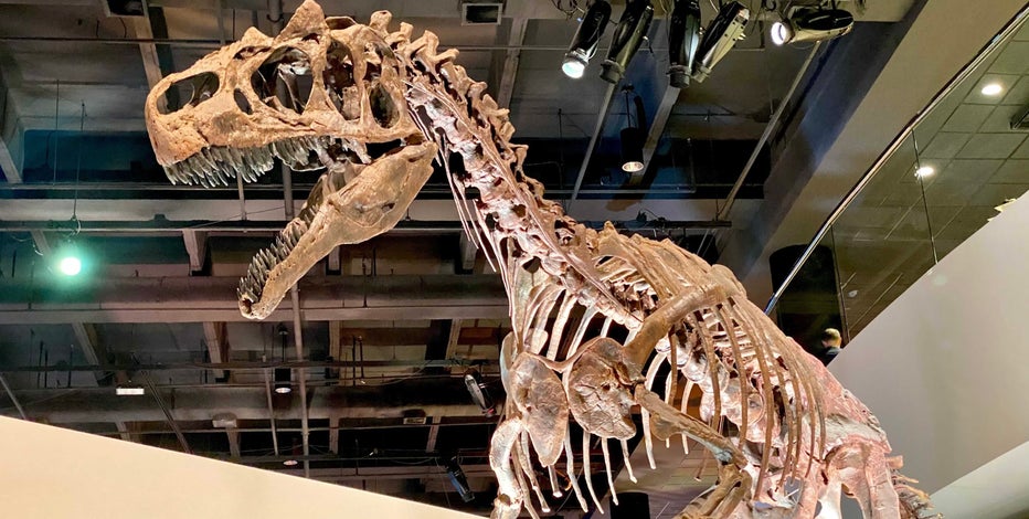 Free museum days in Houston: When and how to visit