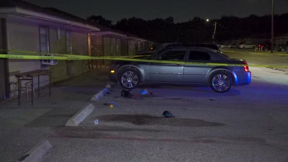 Woman ambushed, shot to death in Houston while walking back from store: HPD