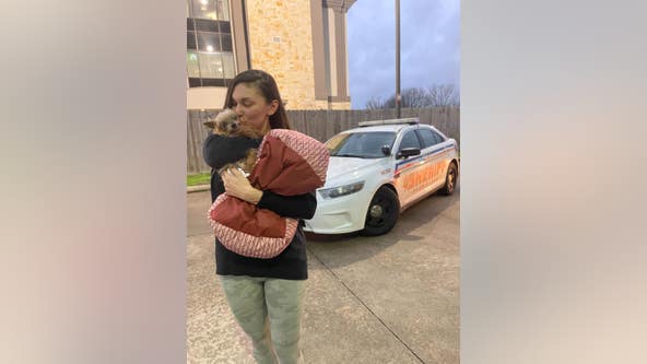 While searching for missing dog stolen during burglary, woman's dad passes away