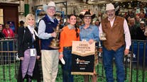 Houston Rodeo Record: Barrow sells for $375,000 at the Houston Livestock Show and Rodeo