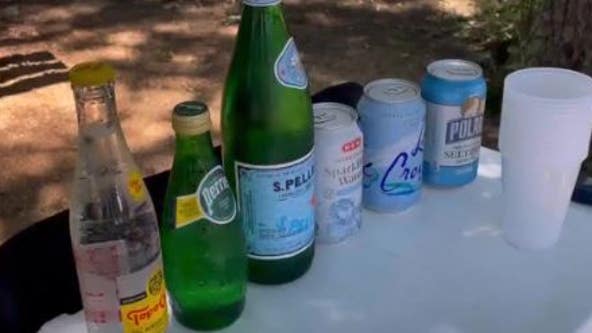 Seltzer has ever been more popular, but choosing a favorite is a matter of taste