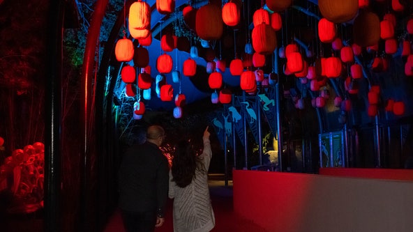 Houston Zoo Boo 2023: Tickets, dates, After Hours times, and more