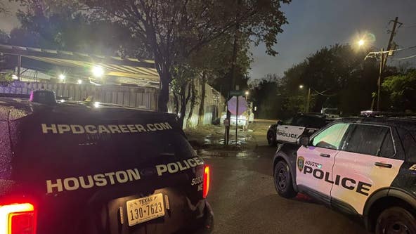 Houston shooting: Man shot by security officer after trying to spray paint security K-9 dog