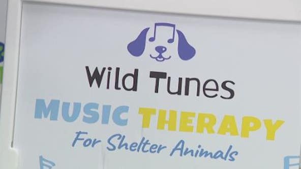 10-year-old Houston boy starts his own music therapy program to help calm stressed out dogs in shelters
