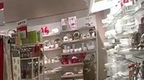 Watch: Maine fawn breaks into store, leaves a trail of chaos on Thanksgiving