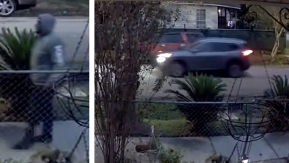 Houston crime: USPS letter carrier robbed, $150,000 reward being offered for information
