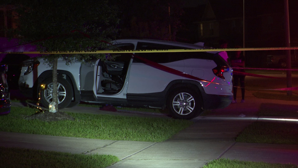 Avogadro Drive shooting: Man killed in driveway of a home, numerous suspects sought