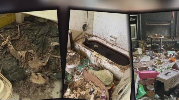 Horrifying animal cruelty discovery in San Leon; dozens of dead cats, other animals found