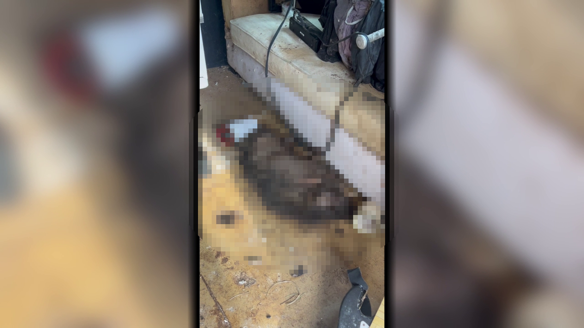 Montgomery County animal abuse case now under investigation