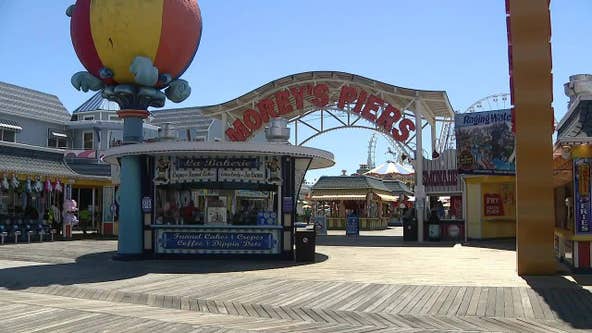 Seagull decapitated at Morey's Pier as man arrested for animal cruelty: police