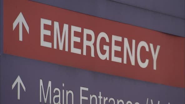 Large tree branch falls on 2-year-old in Montgomery County; child hospitalized: police
